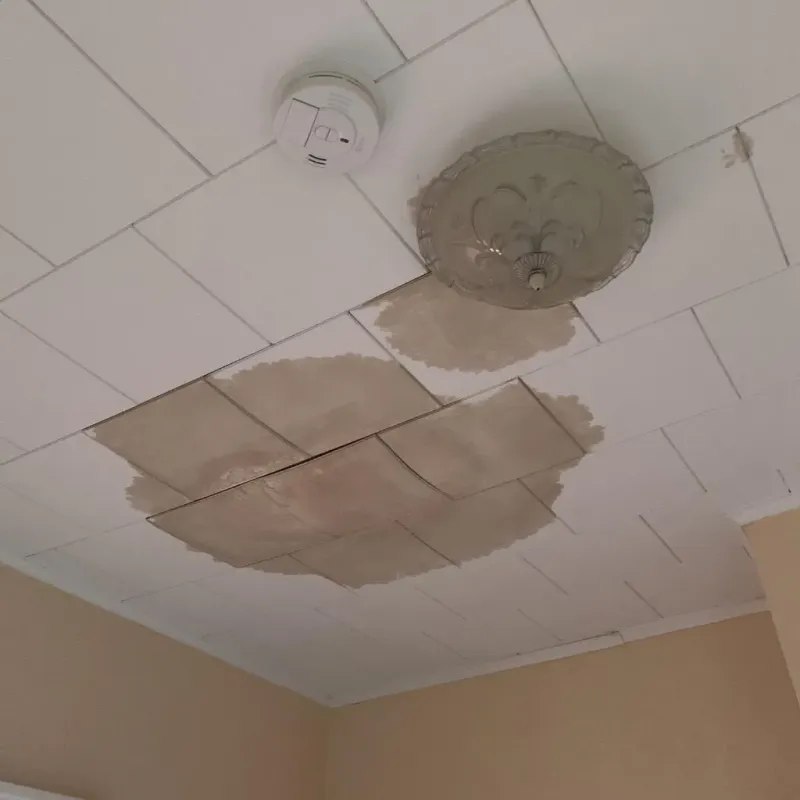 Ceiling Water Damage Repair in Burlingame, CA